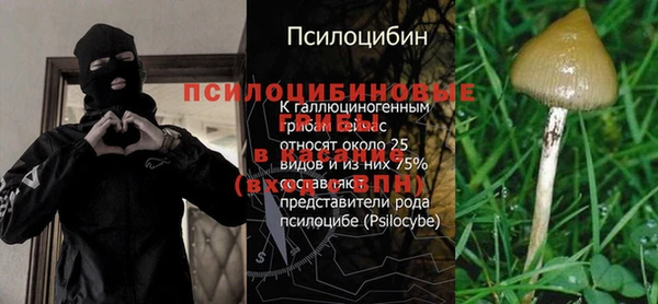 каннабис Балахна